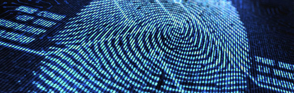 BackgroundCheckBanner